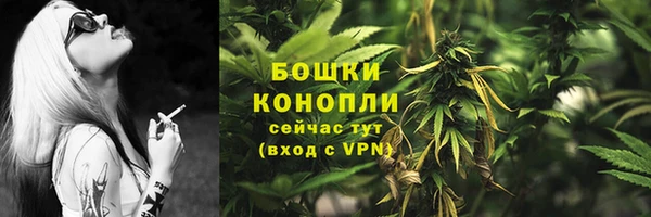 сатива Белоозёрский