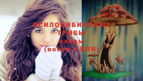 меф Белокуриха