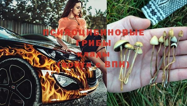 меф Белокуриха