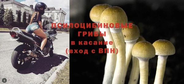меф Белокуриха
