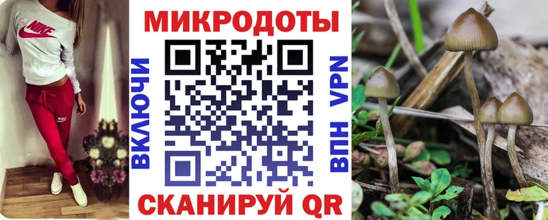 Купить  Гудермес  Галлюциногенные грибы Cubensis 
